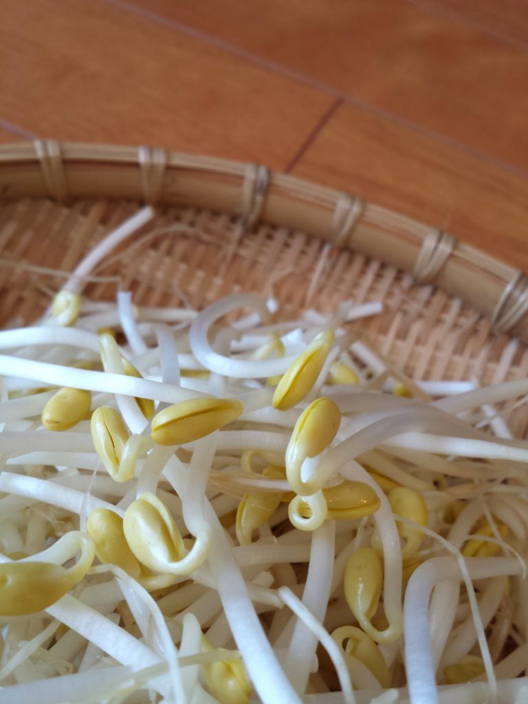 もやし