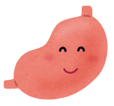 健康な胃
