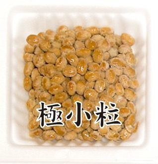 極小粒