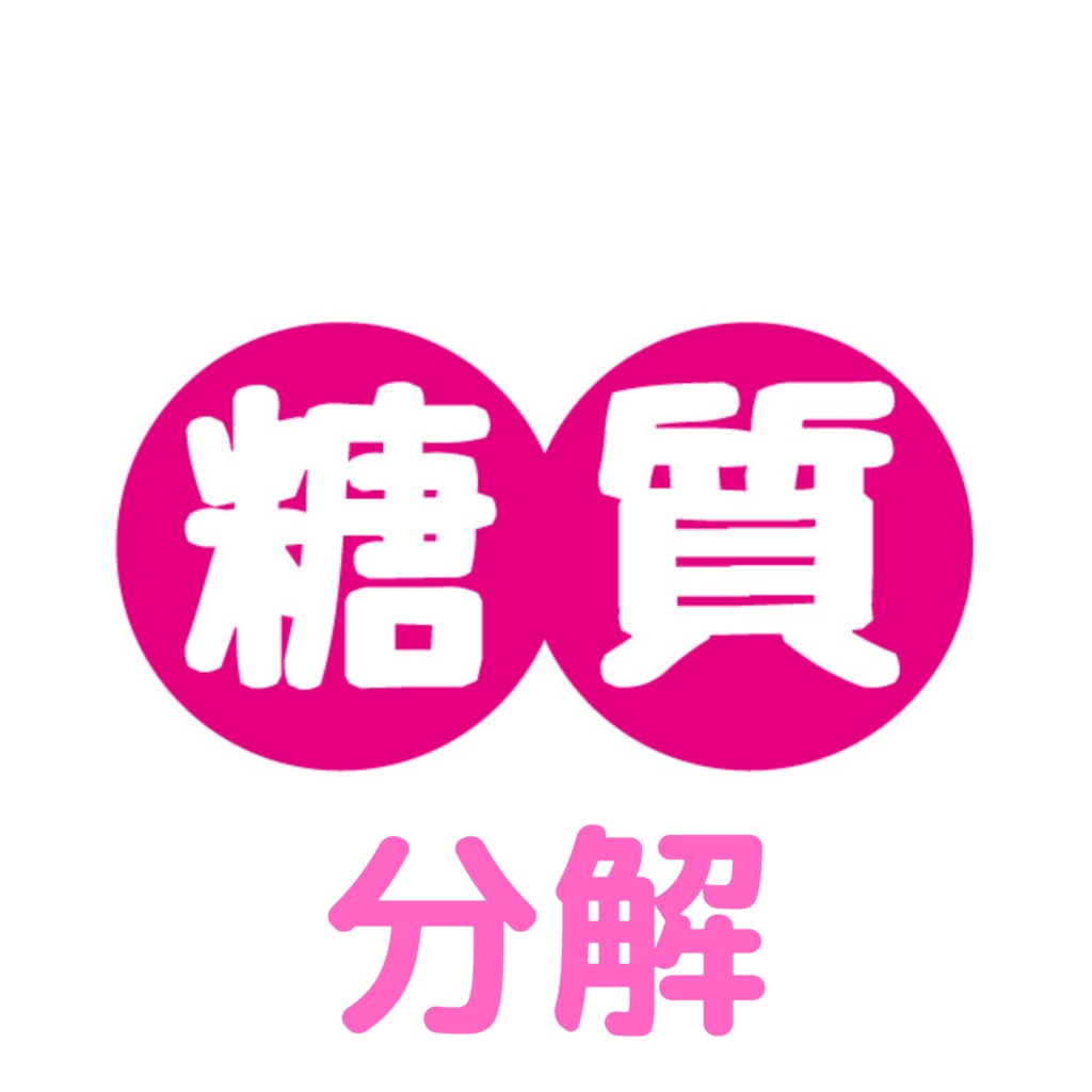 糖質分解