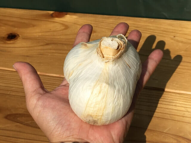 無臭にんにく