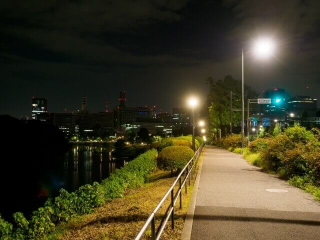 夜の道