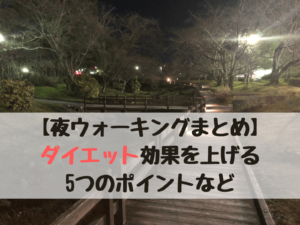 ウォーキングの服装 季節別まとめ 春夏秋冬 早朝や夜の服装など ユキフルの道