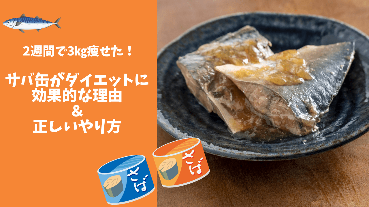 2週間で3 痩せた サバ缶がダイエットに効果的な理由と正しいやり方 ユキフルの道 2週間で3 痩せた サバ缶がダイエットに効果的な理由と正しいやり方 ユキフルの道
