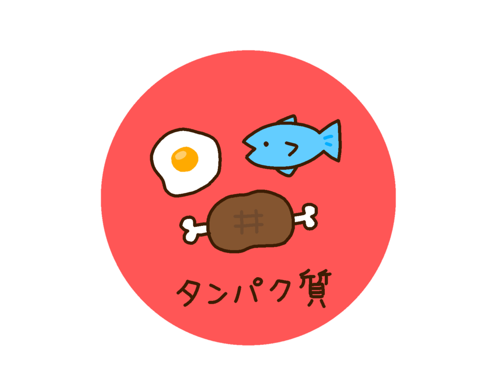 夜にスムージー:タンパク質不足に注意する