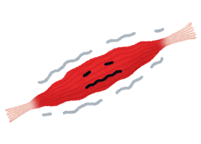ダイエットで痩せない最大の理由は筋肉の減少