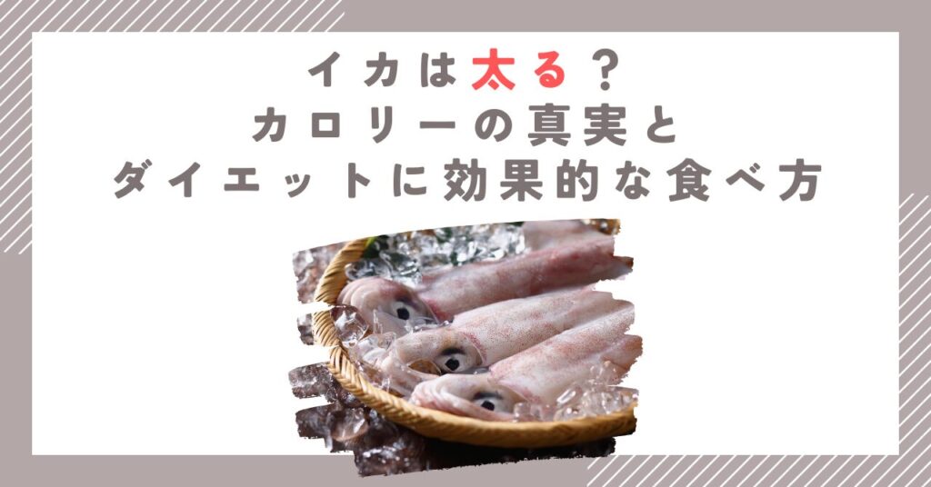 イカは太る？カロリーの真実とダイエットに効果的な食べ方