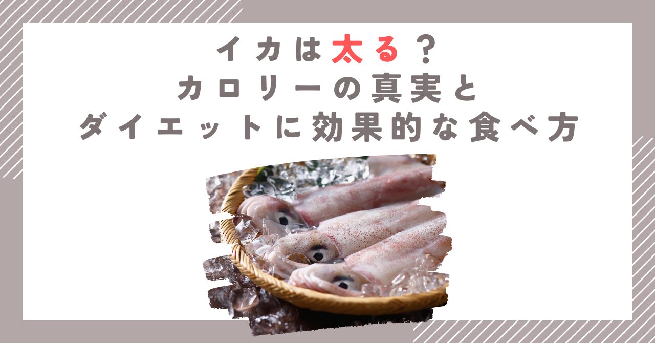 イカは太る？カロリーの真実とダイエットに効果的な食べ方