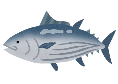 カツオ100gあたりのカロリー