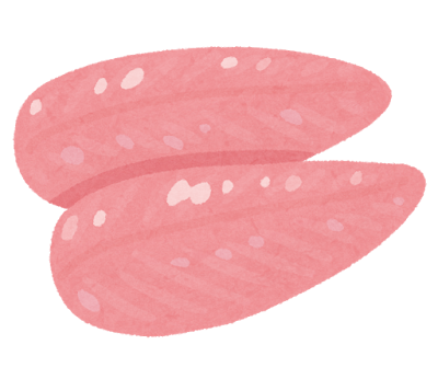 シチュー：鶏肉でタンパク質を強化する