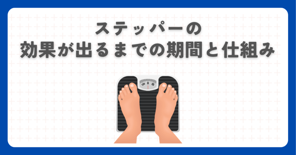 ステッパーの効果が出るまでの期間と仕組み