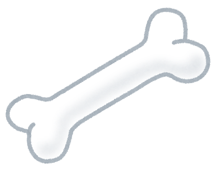 振動マシン：高齢者の骨密度や筋力維持へのメリット