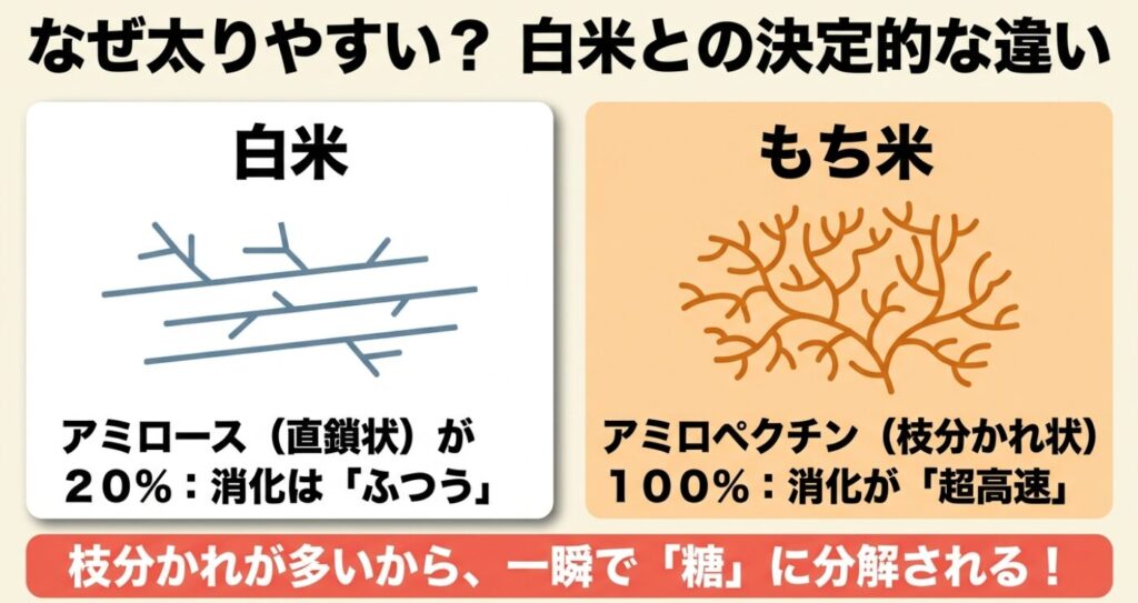 枝分かれが多く消化が超高速なもち米のアミロペクチンと、白米のアミロースの比較図
