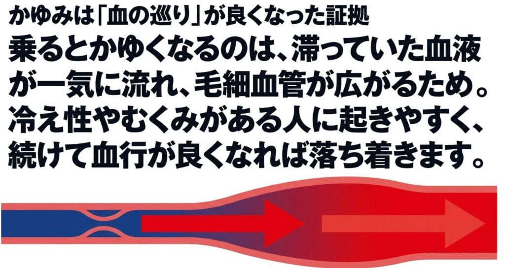 振動マシン：振動によって滞っていた血液が一気に流れ、毛細血管が広がることでかゆみが生じるという体の仕組み