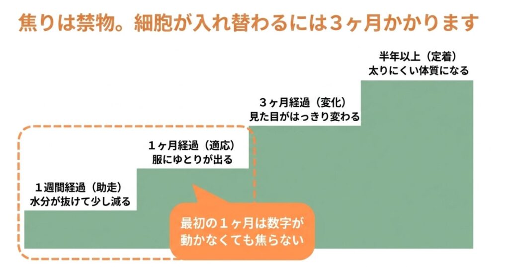 細胞が入れ替わるには3ヶ月かかる。最初の1ヶ月は数字が動かなくても焦らないことが大切