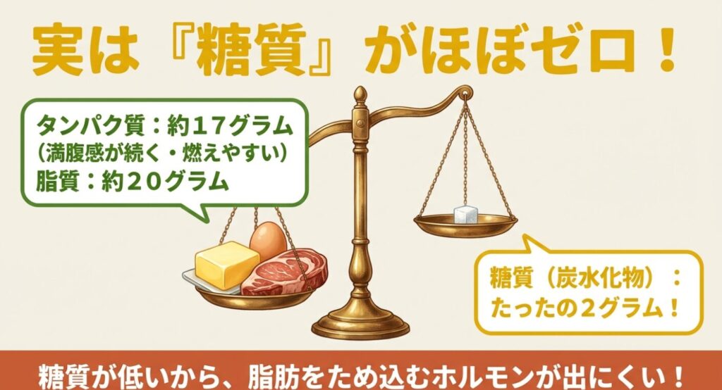 チーズオムレツの栄養素(タンパク質約17g、脂質約20g、糖質たったの2g)を示し、糖質が低いため脂肪をため込むホルモンが出にくい仕組みを解説したスライド