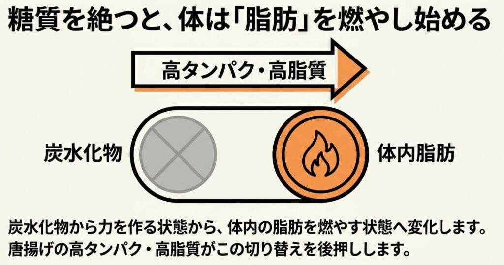 唐揚げダイエット:糖質を絶つと体が炭水化物からではなく体内の脂肪を燃やし始めるメカニズムを図解した資料