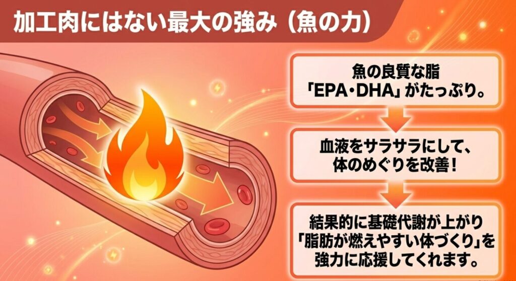 魚肉ソーセージに含まれるEPAやDHAが血液をサラサラにし、脂肪燃焼をサポートする効果