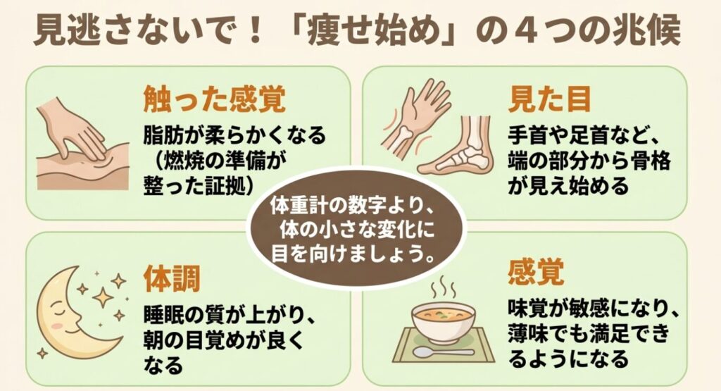 レコーディングダイエット：触った感覚、体調、見た目、感覚からわかる痩せ始めの4つの兆候。脂肪が柔らかくなるなどの小さな変化に目を向ける