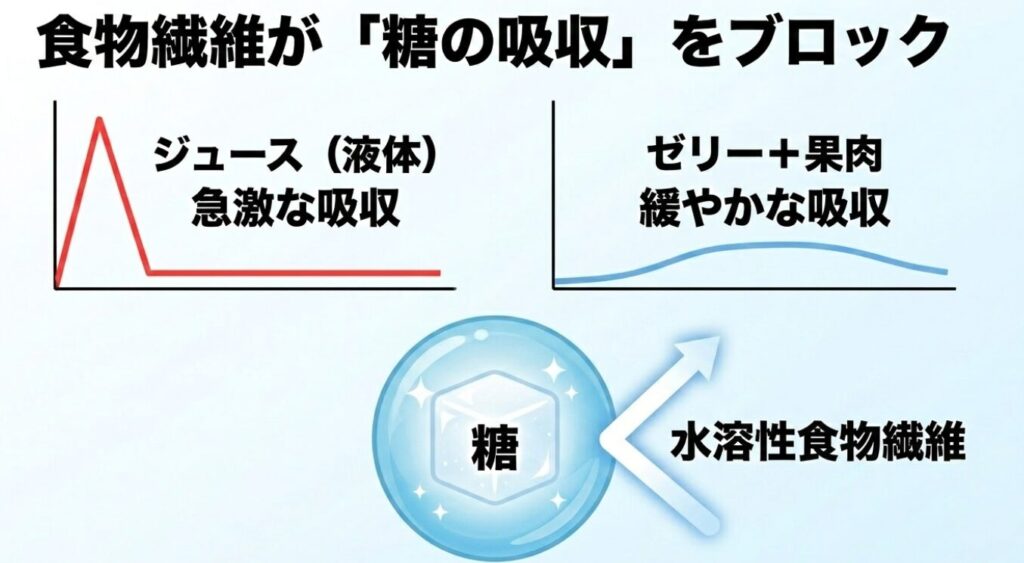 水溶性食物繊維が糖の吸収をブロックすることを示すスライド 。液体ジュースの急激な吸収に対して、ゼリーと果肉の組み合わせが吸収を緩やかにすることを比較解説