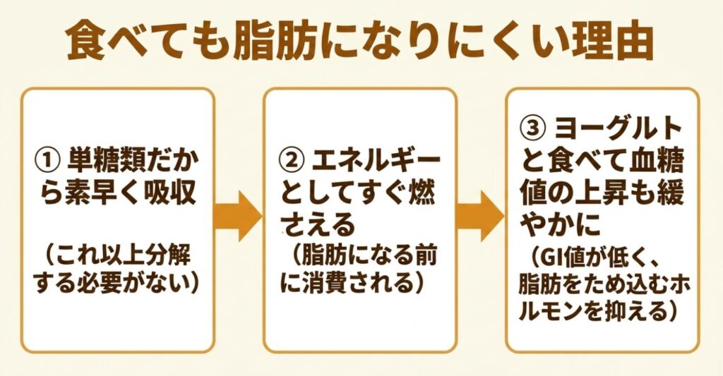 はちみつヨーグルト：はちみつが単糖類で素早く吸収・消費され、血糖値の上昇も緩やかになる理由