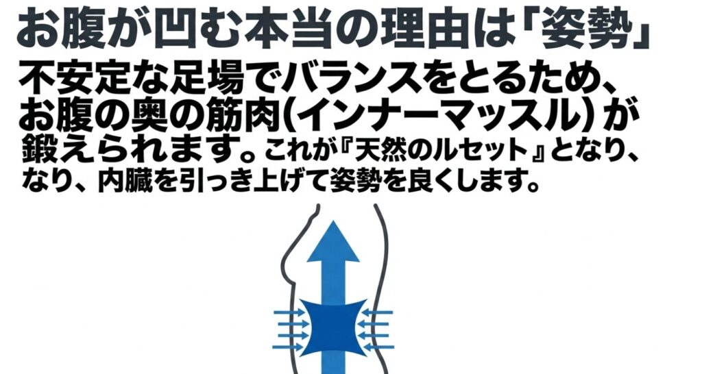 振動マシン：マシンの上でバランスをとることでインナーマッスルが鍛えられ、それが天然のコルセットとなって内臓を引き上げ、姿勢を良くするメカニズム