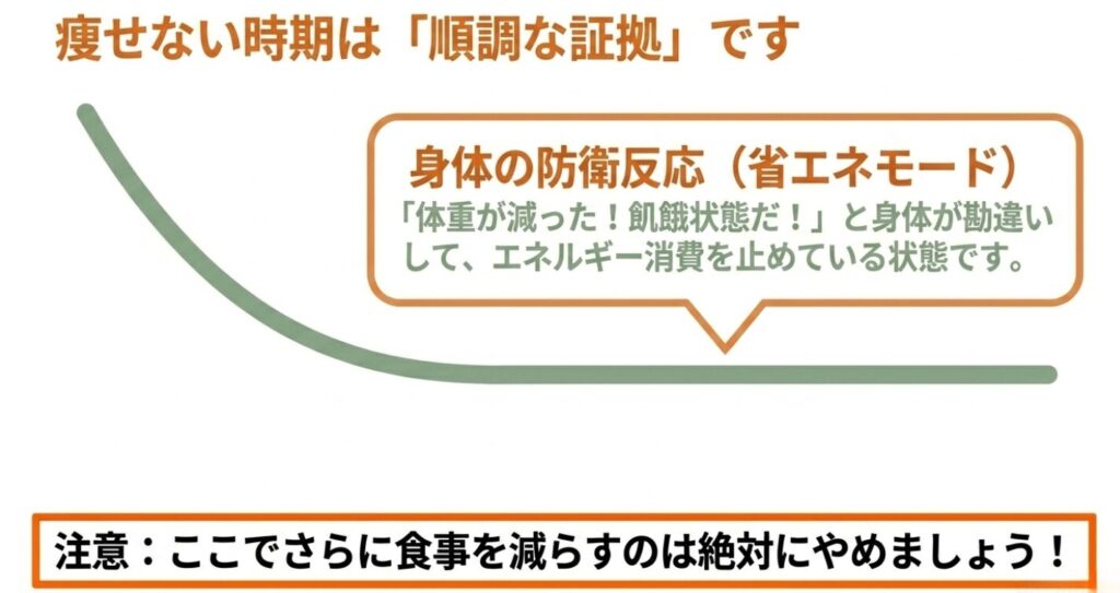レコーディングダイエット：痩せない時期は身体の防衛反応である省エネモード。さらに食事を減らすのは避けるべき