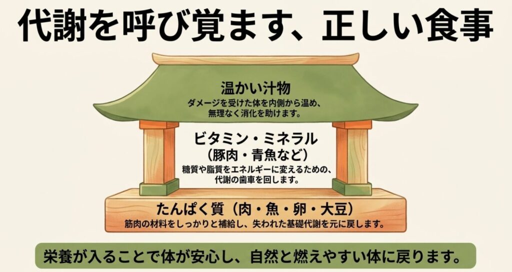 こんにゃくダイエット：代謝を呼び覚ます、正しい食事。内臓を温める「温かい汁物」、代謝の歯車を回す「ビタミン・ミネラル（豚肉・青魚など）」、筋肉の材料となる「たんぱく質（肉・魚・卵・大豆）」の3つを組み合わせることで、体が安心し燃えやすい体に戻ることを示すイラスト。