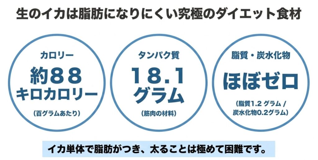 生のスルメイカ100gあたりのカロリーが約88kcal、タンパク質が18.1gと高タンパクであり、脂質と炭水化物はほぼゼロで脂肪になりにくいことを解説するスライド。