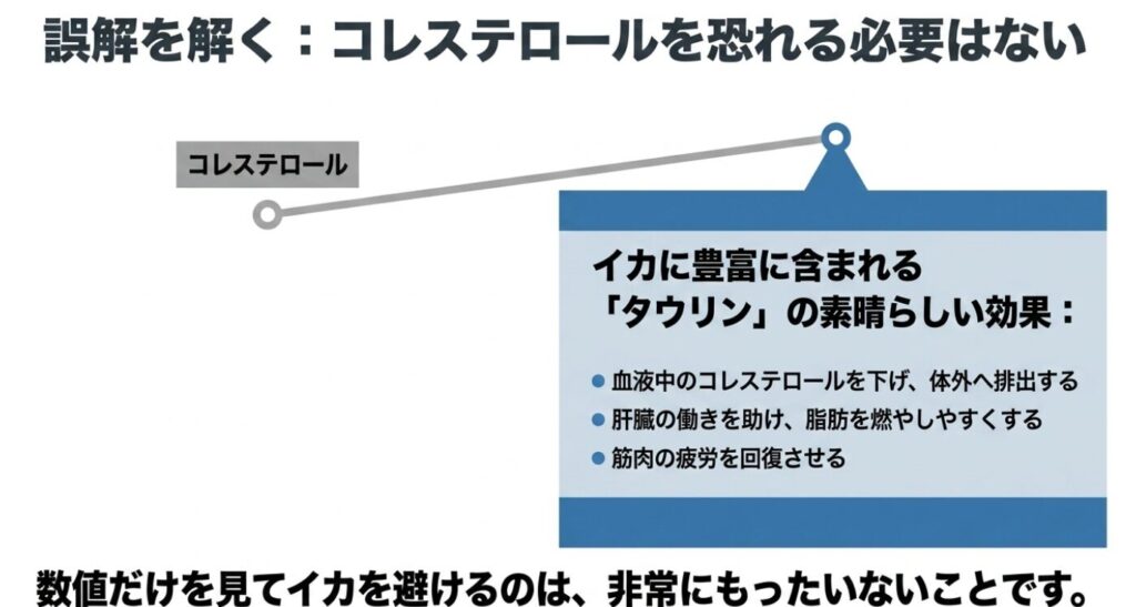 イカに豊富に含まれるタウリンが、血液中のコレステロールを下げて体外へ排出し、脂肪を燃やしやすくするなどのメリットを説明するスライド。