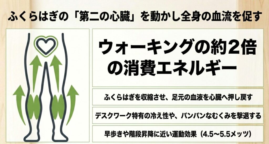 ステッパー：ふくらはぎの第二の心臓を動かし全身の血流を促すメカニズムを示す下半身のイラスト