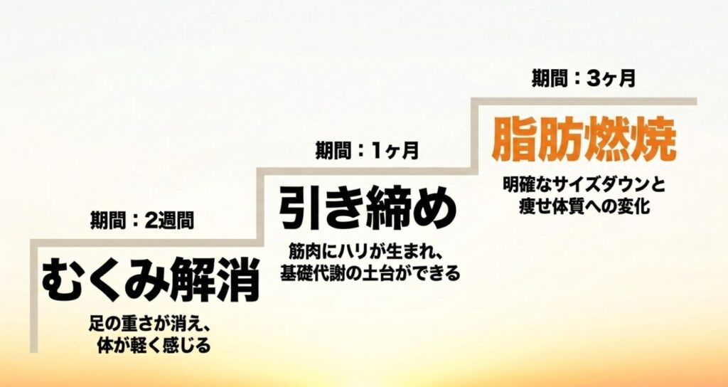 ステッパー：期間ごとの変化として、2週間でむくみ解消、1ヶ月で引き締めと基礎代謝の土台作り、3ヶ月で明確なサイズダウンや脂肪燃焼などの変化が起きることを示したスライド 。