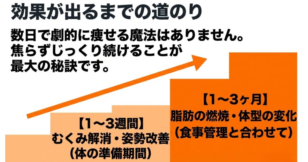 振動マシン：1〜3週間でむくみ解消や姿勢改善が起こり、1〜3ヶ月で脂肪の燃焼や体型の変化が現れるという期間の目安