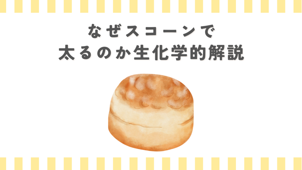 なぜスコーンで太るのか生化学的解説