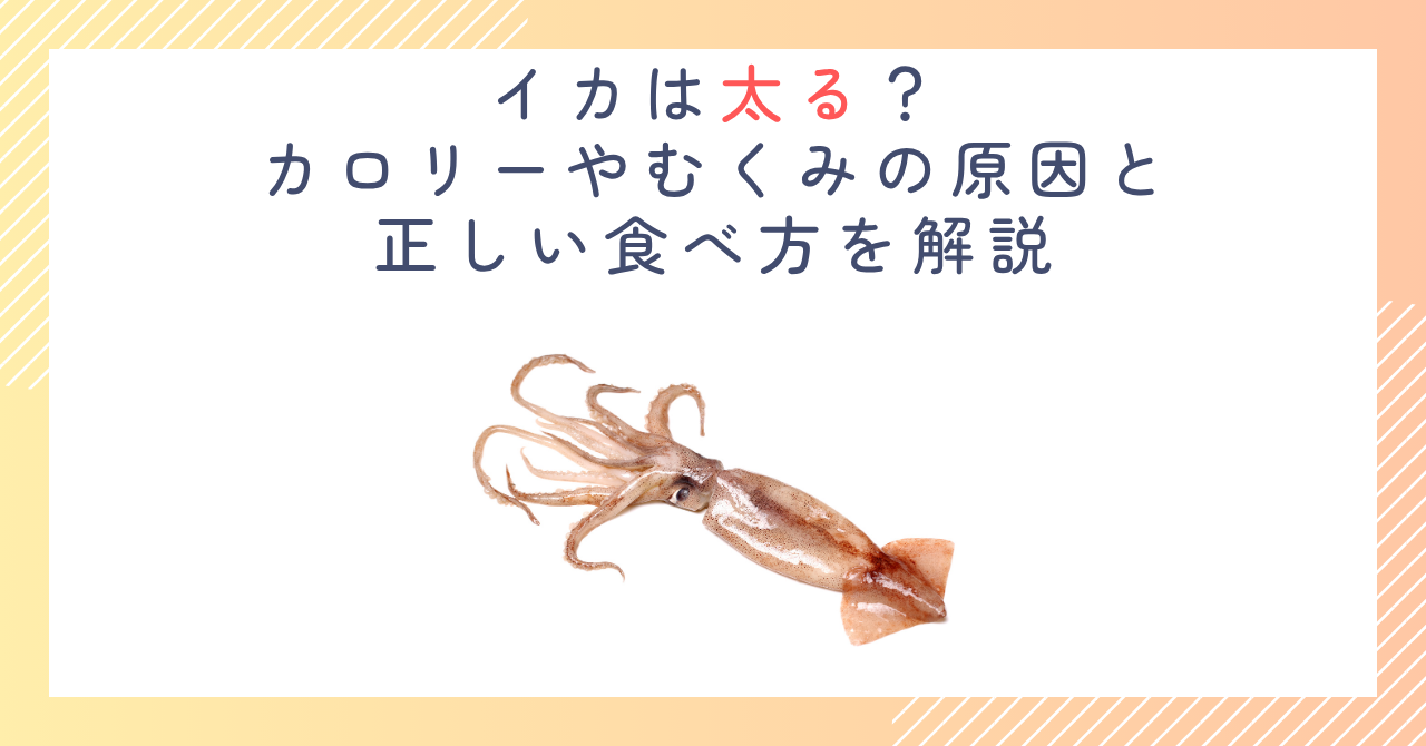 イカは太る？カロリーやむくみの原因と正しい食べ方を解説