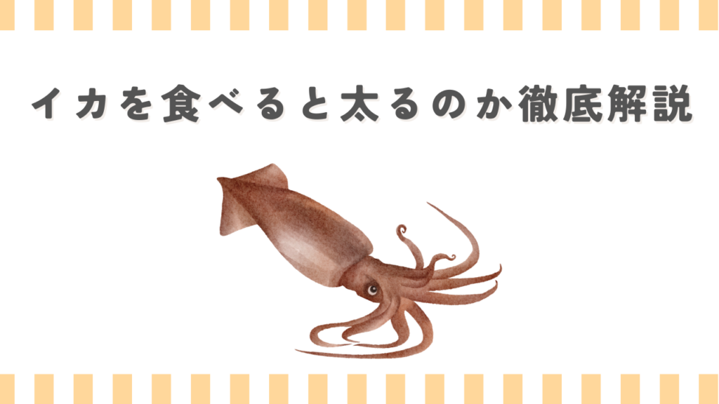 イカを食べると太るのか徹底解説