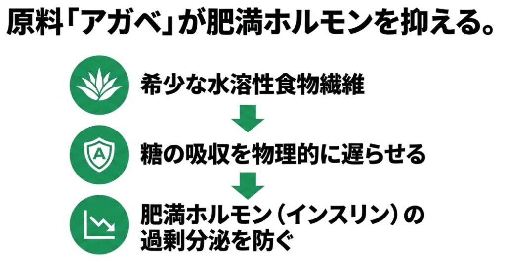 テキーラの原料アガベに含まれる希少な水溶性食物繊維が糖の吸収を物理的に遅らせて、肥満ホルモンであるインスリンの過剰分泌を防ぐ図