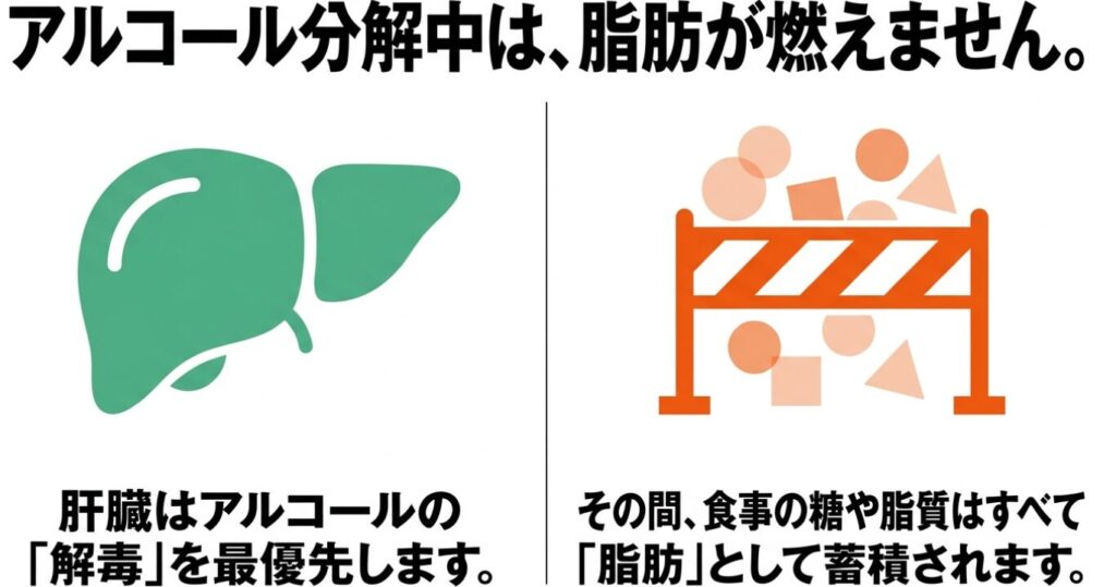 テキーラ:アルコール分解中は肝臓が解毒を優先するため、食事の糖や脂質がすべて脂肪として蓄積されることを解説した図