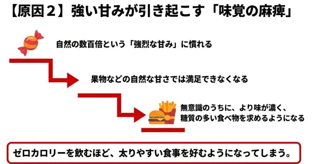 ノンアルコールビール：強い甘みが引き起こす味覚の麻痺。強烈な甘みに慣れると自然な甘さで満足できず、太りやすい食事を好むようになる
