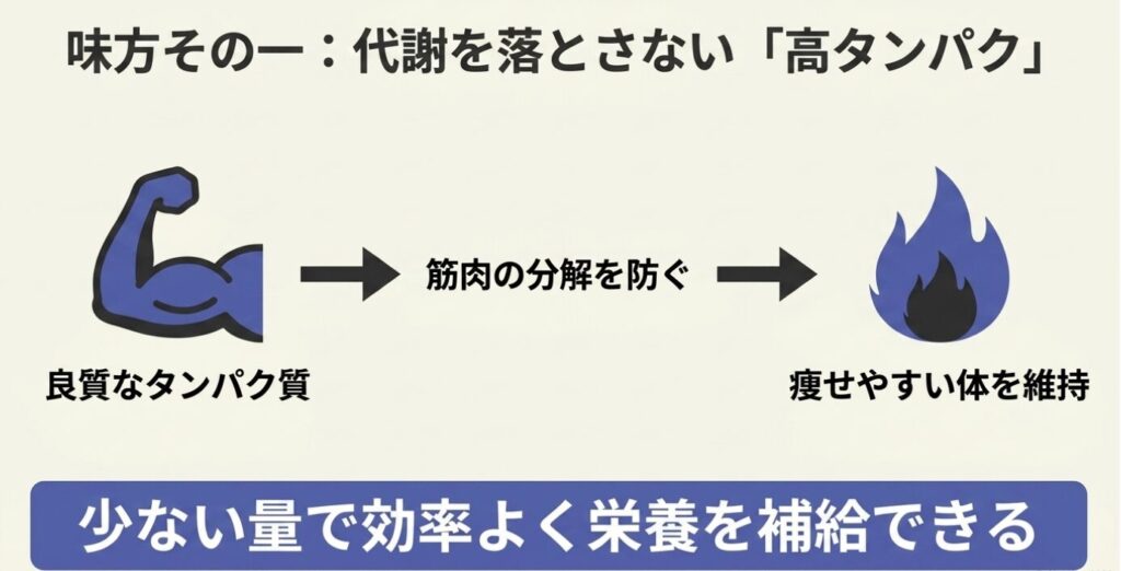 ビーフジャーキー:味方その一:代謝を落とさない「高タンパク」。筋肉の分解を防ぎ痩せやすい体を維持する働き