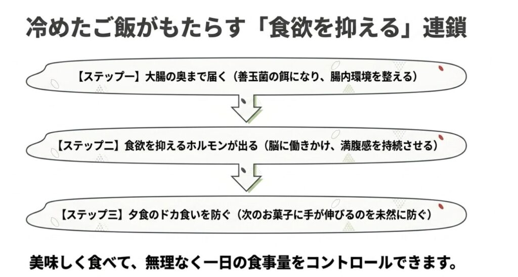 おにぎり:冷めたご飯が大腸の善玉菌の餌になり、食欲を抑えるホルモンを出して夕食のドカ食いを防ぐ連鎖を示したスライド