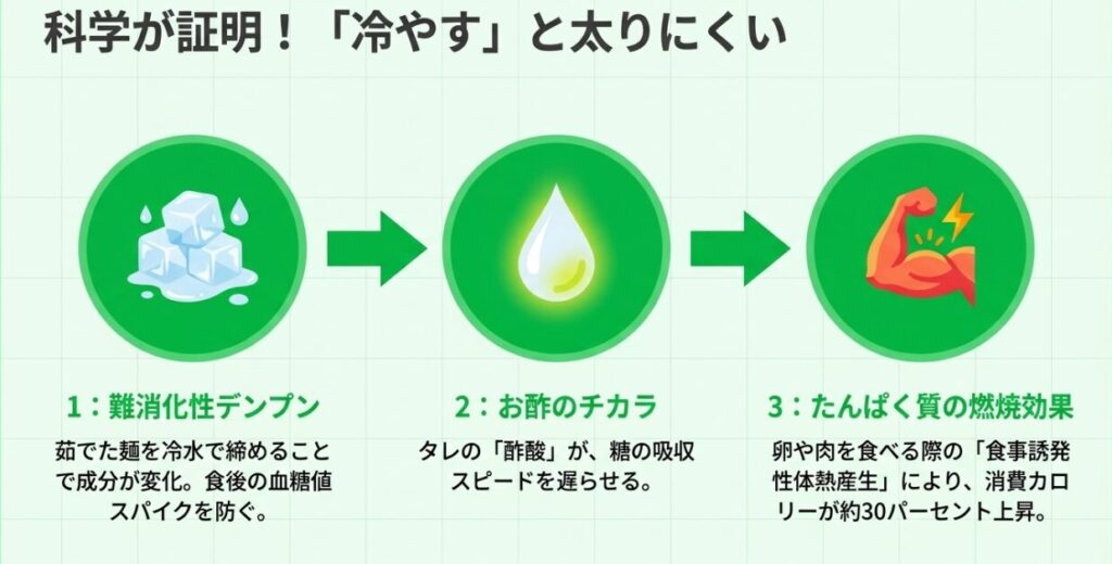 冷やすことによる難消化性デンプンの発生、お酢のチカラ、たんぱく質の燃焼効果など、冷やし中華が太りにくい理由を科学的に解説したスライド