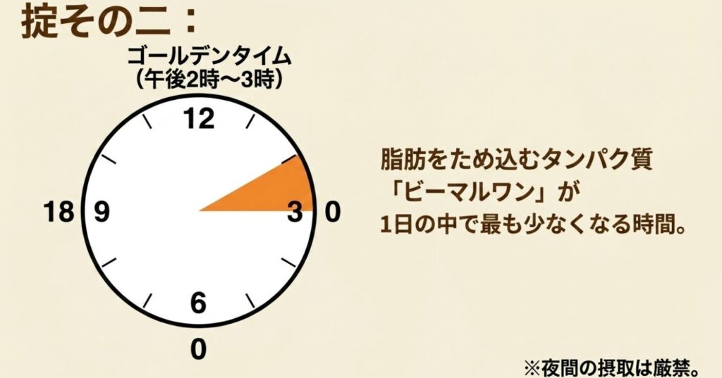 脂肪をため込むタンパク質「BMAL1（ビーマルワン）」が1日の中で最も少なくなる午後2時から午後3時が、スコーンを食べるベストタイミングであることを示す時計の図。