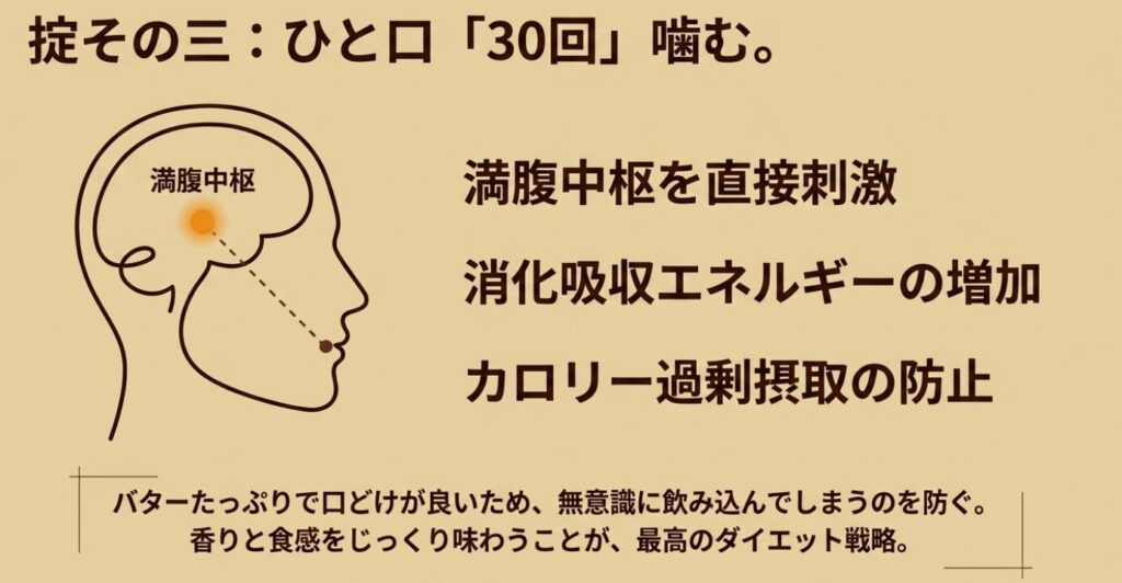 スコーン：ひと口につき30回以上噛むことで満腹中枢を刺激し、カロリー過剰摂取を防ぎながら消化吸収エネルギー（食事誘発性熱産生）を増加させる仕組みの解説図。