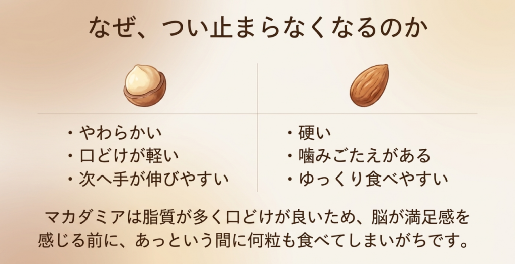 やわらかく口どけの軽いマカダミアと、硬く噛み応えのあるアーモンドの違いを比較した図